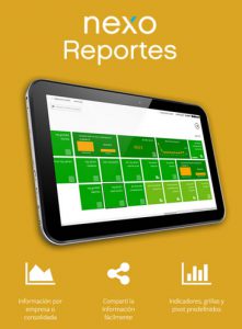 nexo-reportes